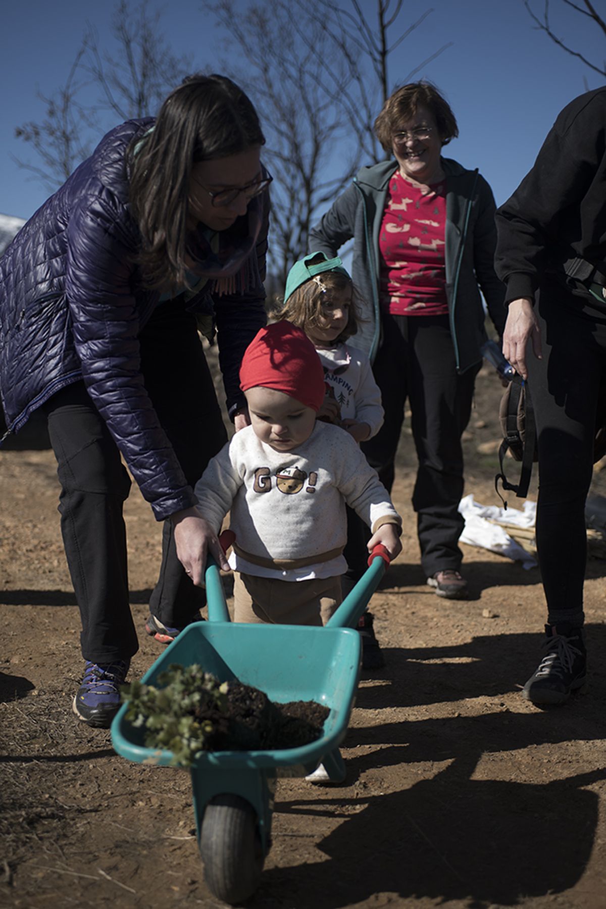 Asociaciones, colegios y residencias de ancianos de Maragatería y Astorga se vuelcan en la plantación organizada por 'Teleno Libre' y 'URZ' 