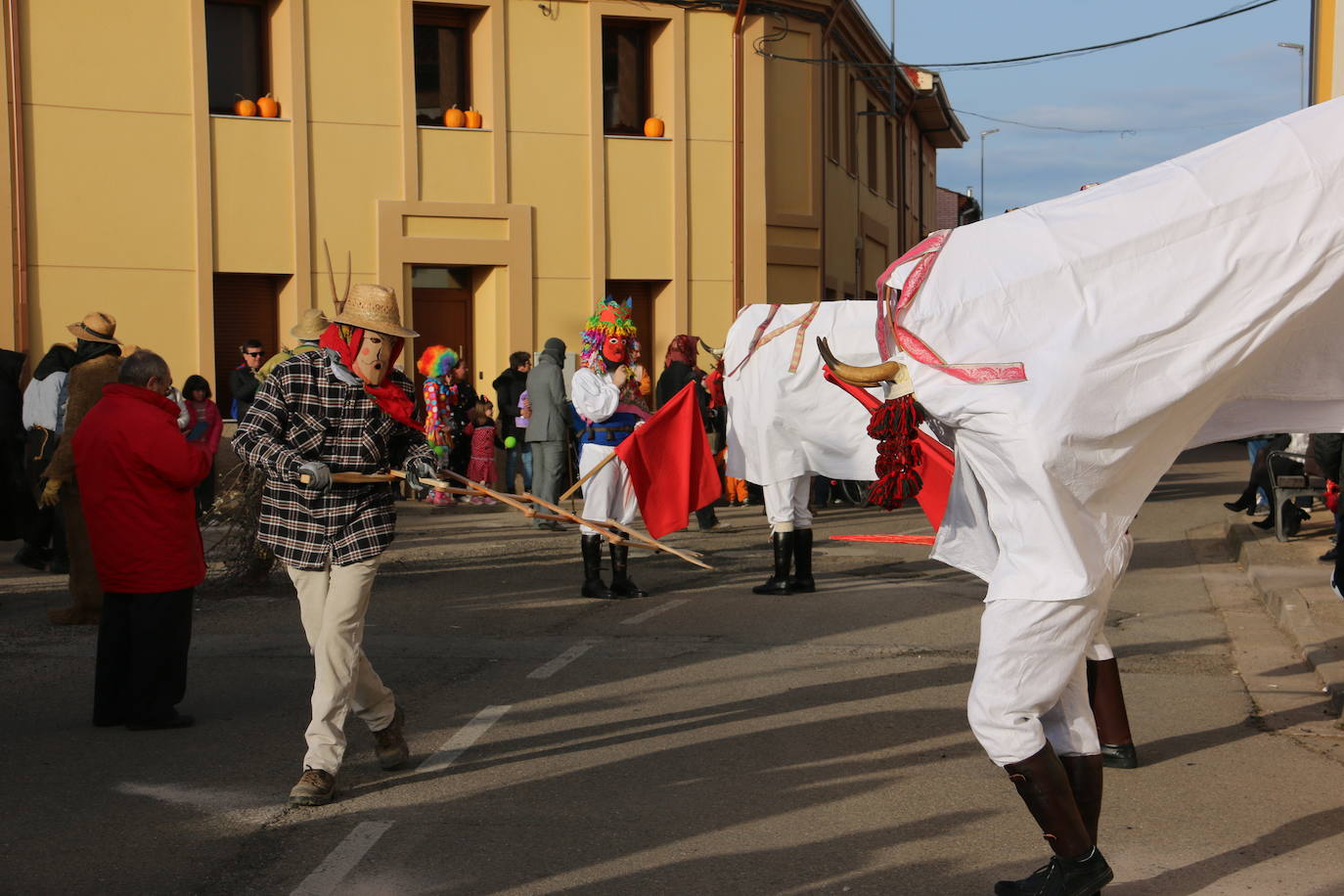 Toros y toreros varean a todos los que se acercan al antruejo de Alcoba