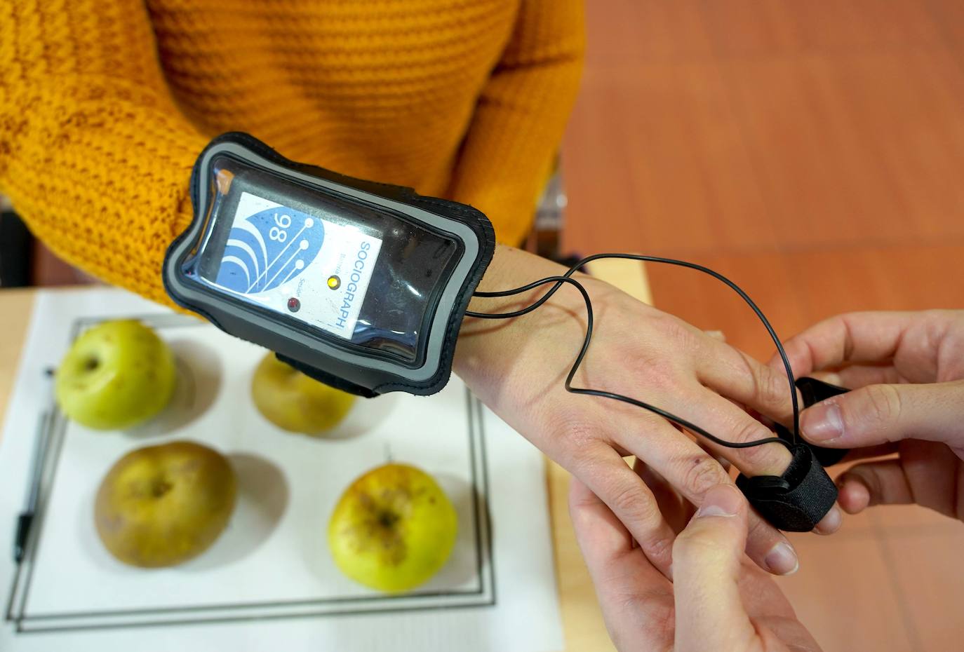 Cata del proyecto de investigación 'Bierzo Sensomarkt' del Itacyl con la colaboración de Alimentos de Calidad de El Bierzo y la empresa palentina Sociograph, que aplica la innovación tecnológica a la pera Conferencia y la manzana Reineta.