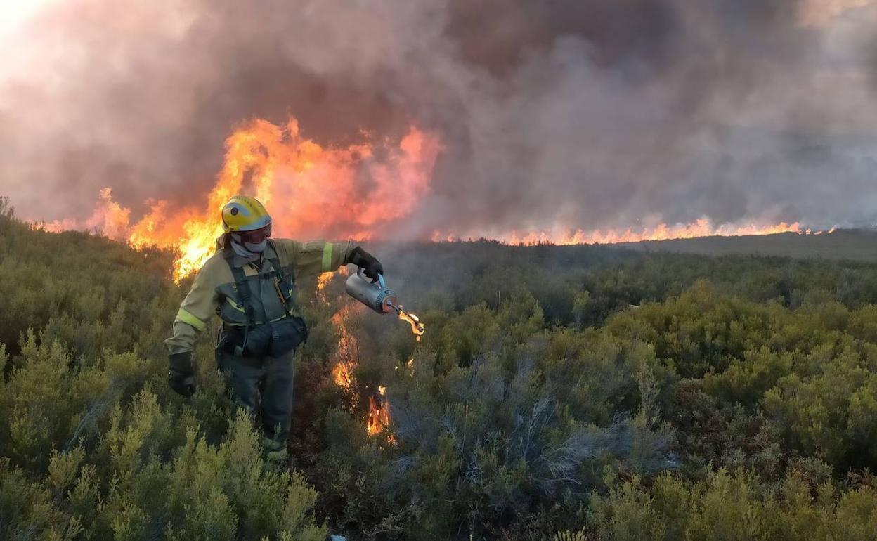 Castilla y León aprobará «muy próximamente» el plan de lucha contra incendios forestales.