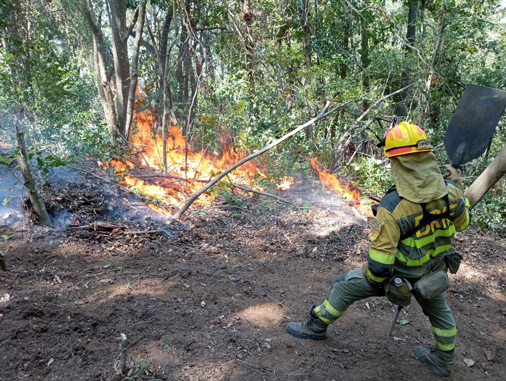 Seis bomberos forestales de la BRIF de Tabuyo partieron hace 12 días para combatir el incendio en Chile. Allí han luchado contra los diferentes focos de un incendio histórico. De regreso a España remarcan la importancia de una experiencia «inolvidable». 