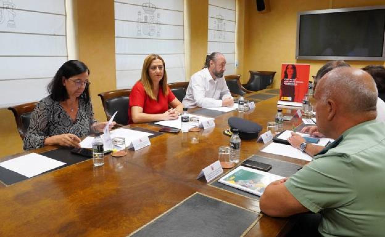 Reunión el pasado verano de la delegada delGobierno en Castilla y León apra analizar los casos de agresiones con sumisión química.