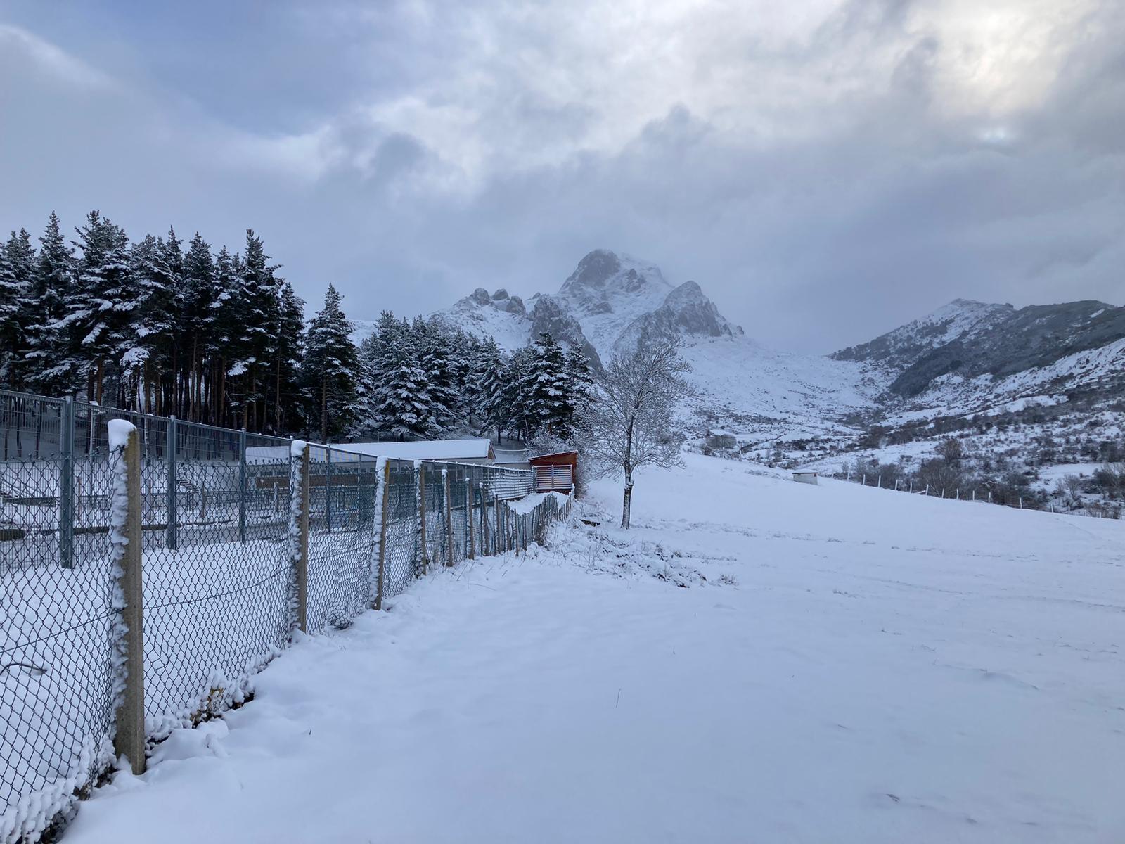 Las provincias de Burgos, Palencia, Soria, Valladolid, Segovia y Zamora; además de zonas de meseta y montaña de Salamanca y Ávila, la cordillera cantábrica de León y la comarca de El Bierzo tienen activo este jueves -desde la medianoche- avisos por nevadas, que serán de riesgo importante en el norte de las provincias burgalesa y soriana. Los avisos se encuentran activos desde la medianoche de este jueves y se mantendrán al menos hasta última hora de la jornada. En las imágenes, diferentes puntos de la provincia bajo la nieve.