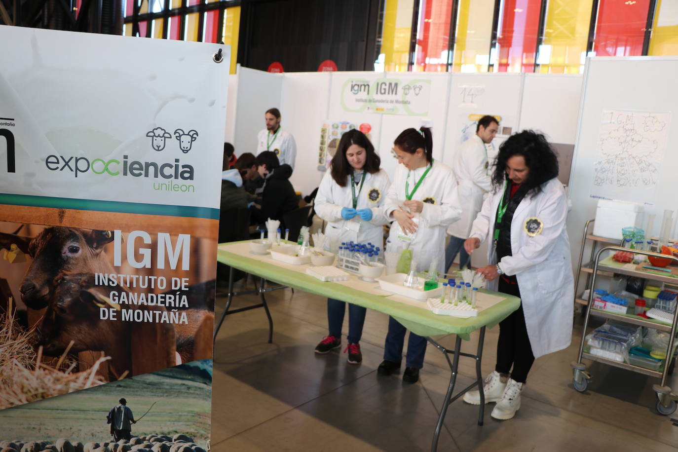 El Palacio de Exposiciones y Congresos de León acoge la cuarta edición de Expociencia que durante tres jornadas conectará la investigación que se realiza en aulas y laboratorios de la Universidad de León con su provincia | Se espera superar las 16.000 visitas en una edición en la que participan 400 investigadores de la Ule y que cuenta con representación de todas las áreas de conocimiento.