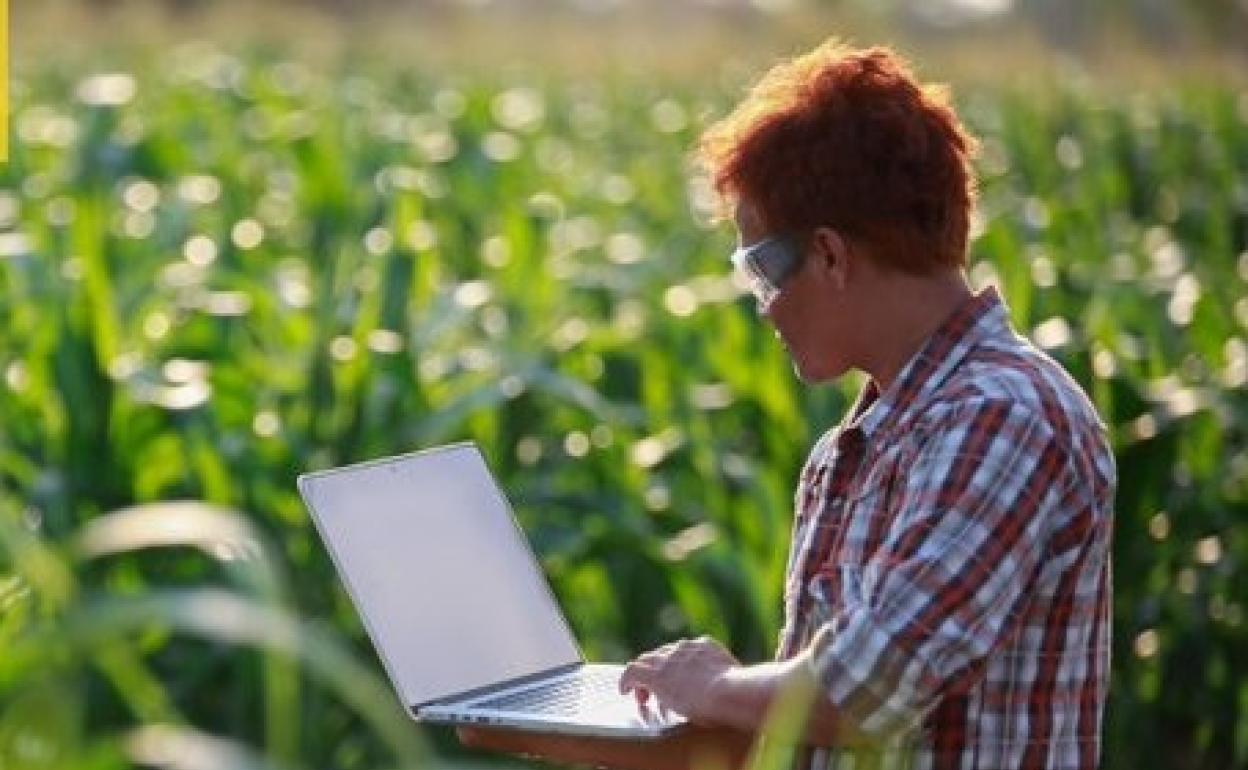 Comprobación de datos agrícolas en un ordenador. 