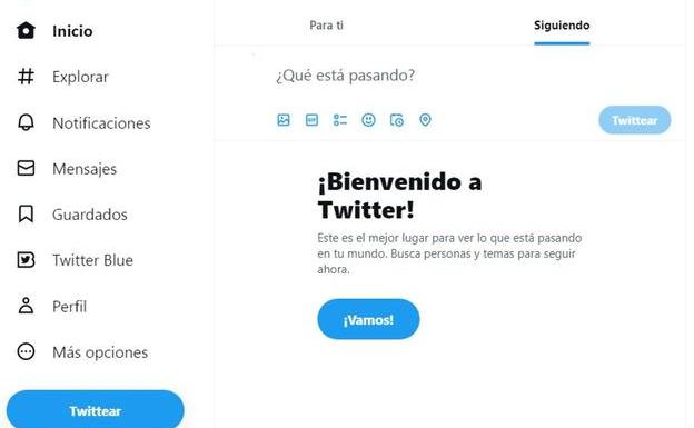 Error que da la página web de Twitter al cargar la página.