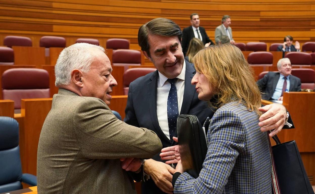 Rocío Lucas, consejera de Educación de a Junta de Castilla y León.