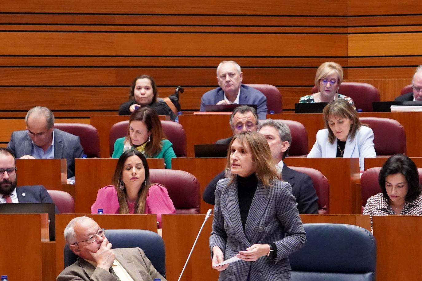 Primera sesión del Pleno de las Cortes de Castilla y León, que comienza con las preguntas de control al Gobierno autonómico.