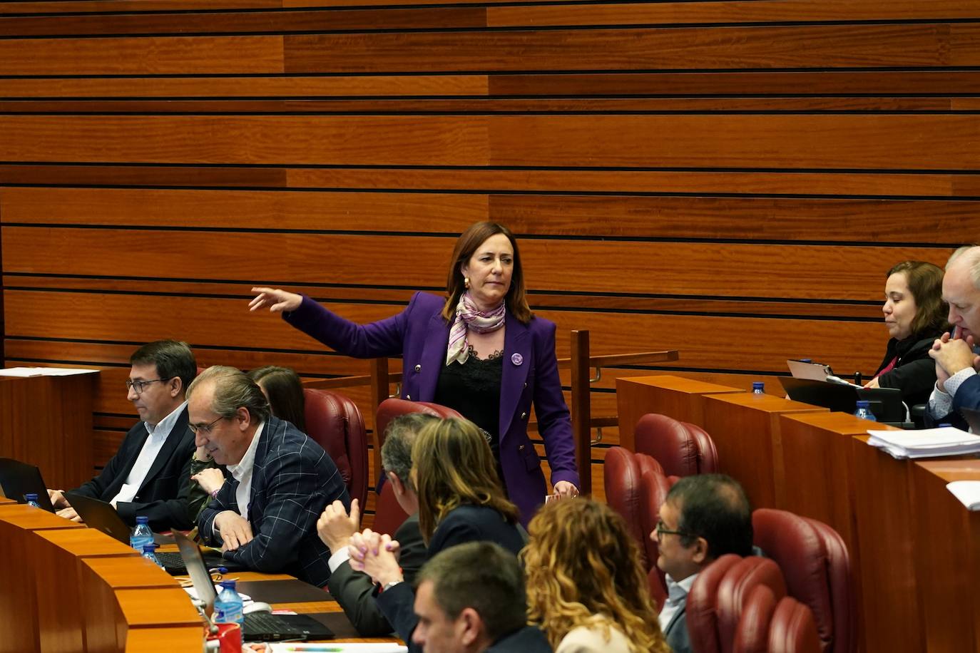 Pleno de las Cortes de Castilla y León celebrado este 8 de marzo. 