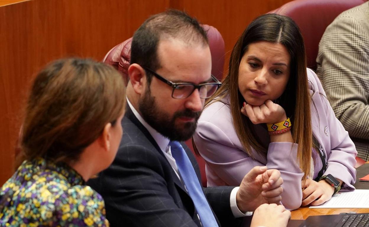 Producradores socialistas este miércoles en el pleno de las Cortes.