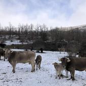 Un viaje por la provincia entre la nieve