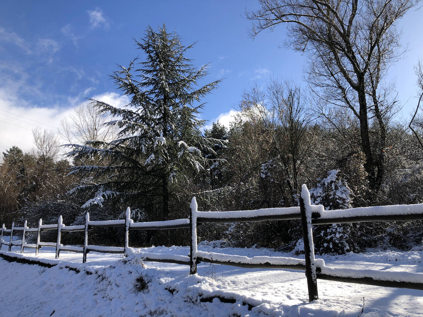 León ya vive entre la nieve