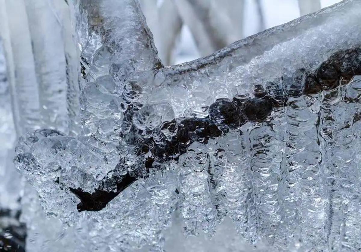 León se congela y registra dos de las temperaturas más bajas del país