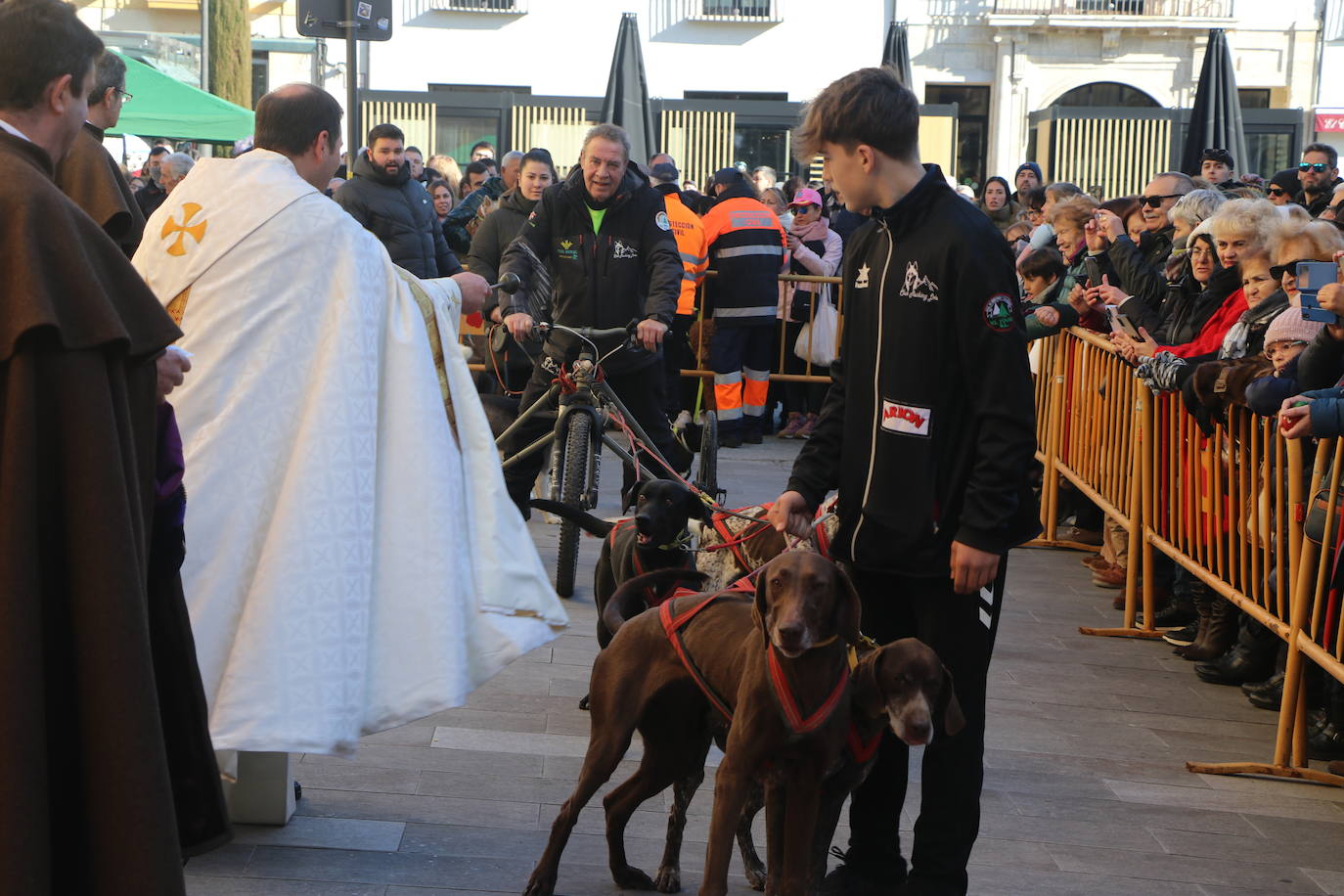 La bendición de San Antón