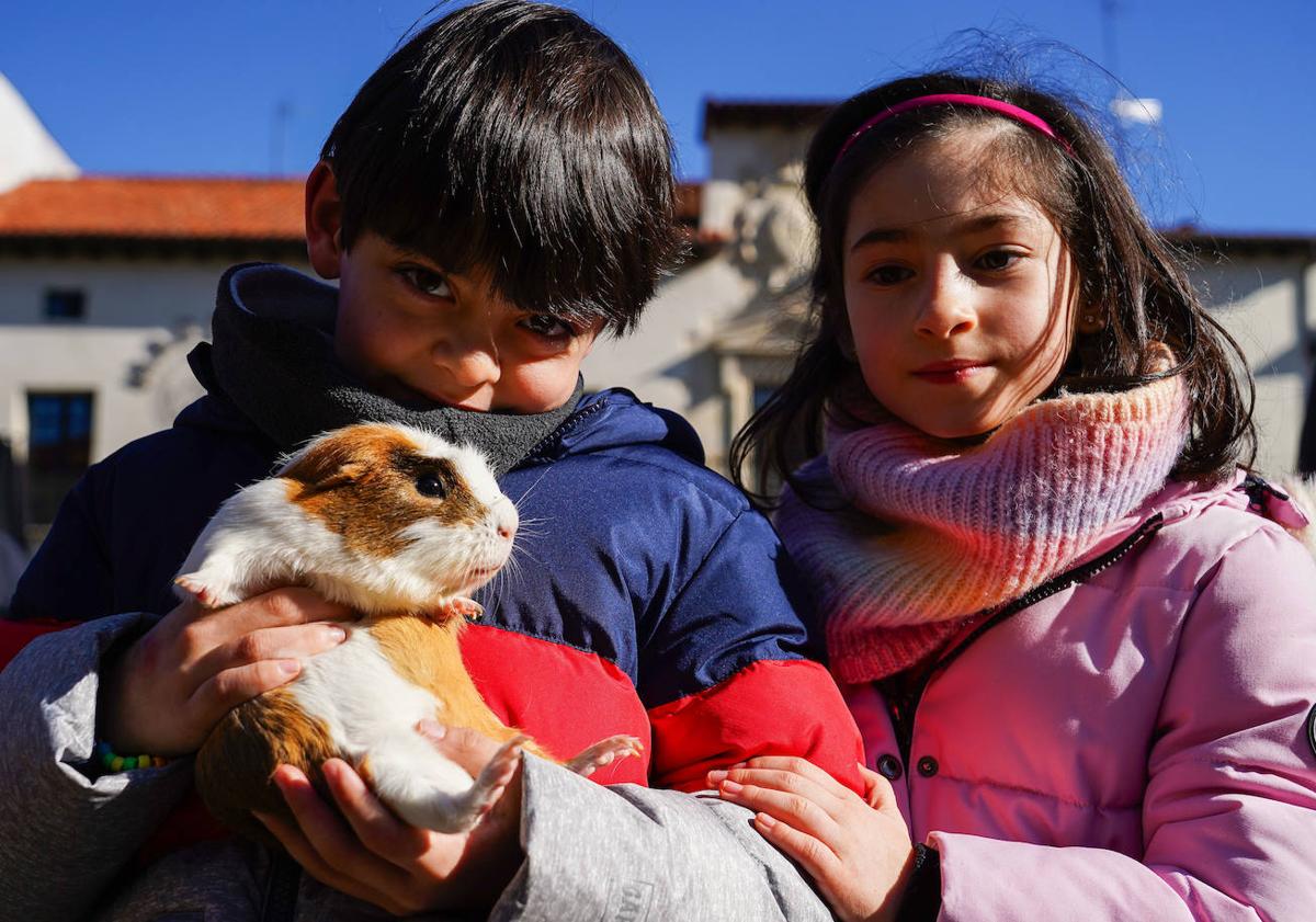 Imagen principal - Algunos animales que recibieron la bendición del santo.