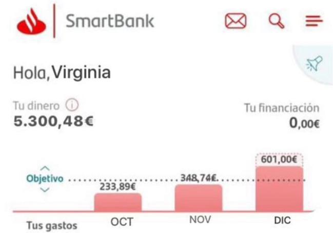 Captura de pantalla que usaba el hacker para suplantar la identidad y recibir el dinero de los seguidores de @lagorditacongafas.