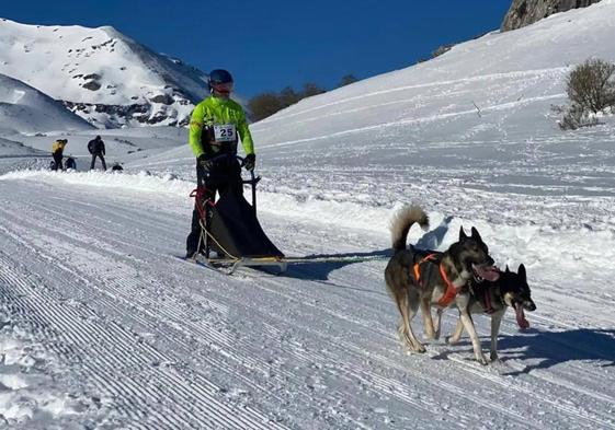 Cancelado el mushing de Vegarada por falta de nieve