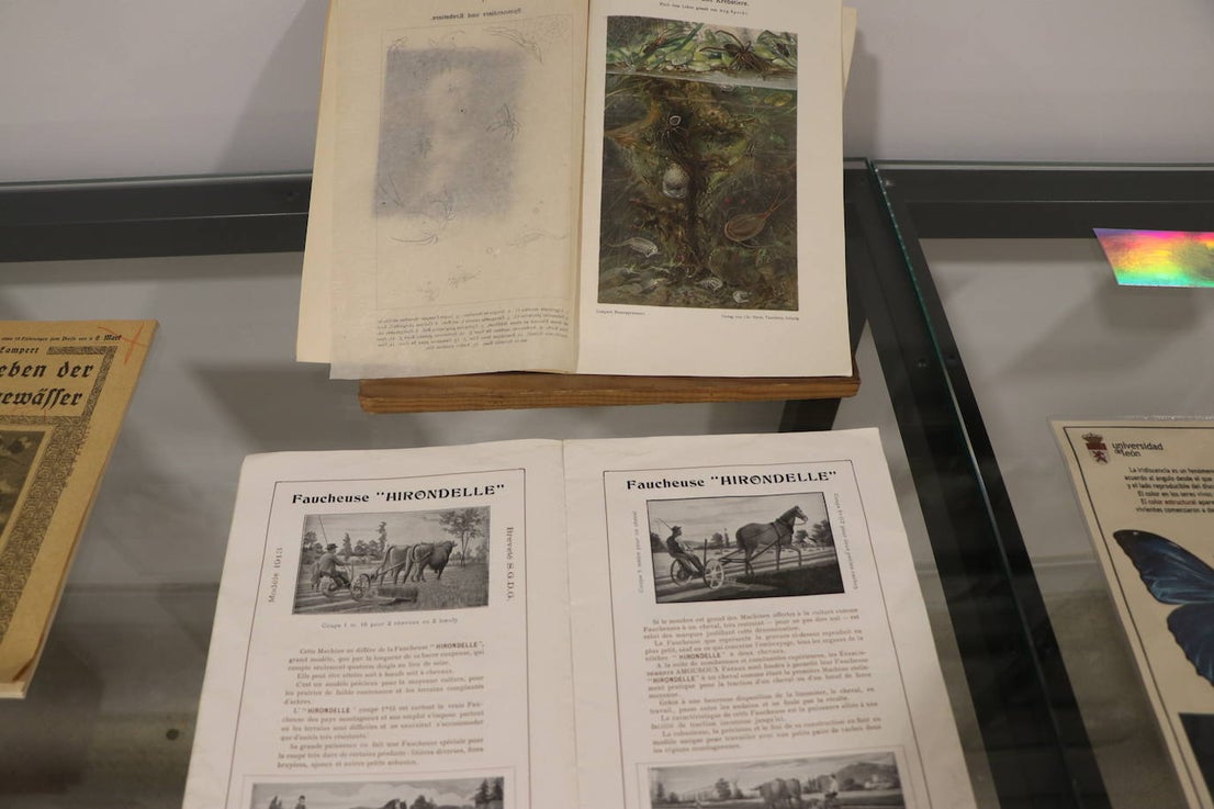 El Museo de las Colecciones de la Universidad de León | leonoticias.com