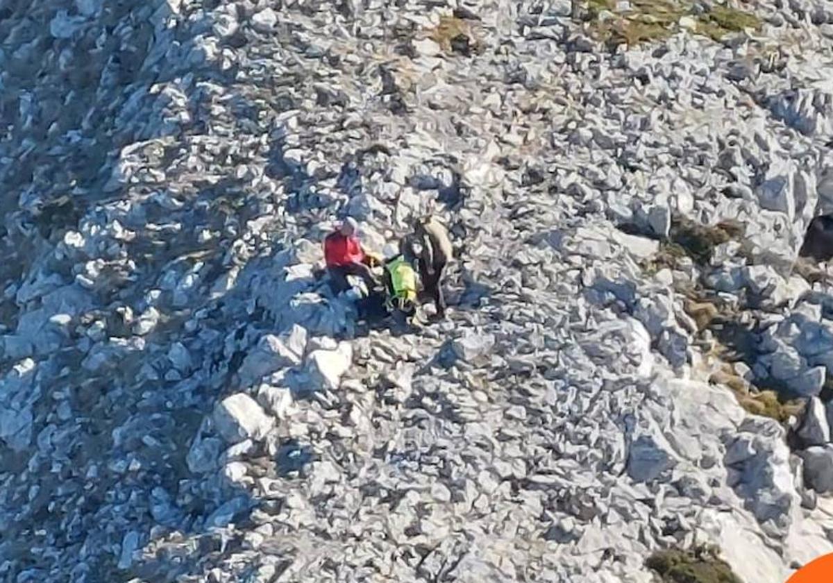 Rescate efectuado en el pico Susarón este sábado.