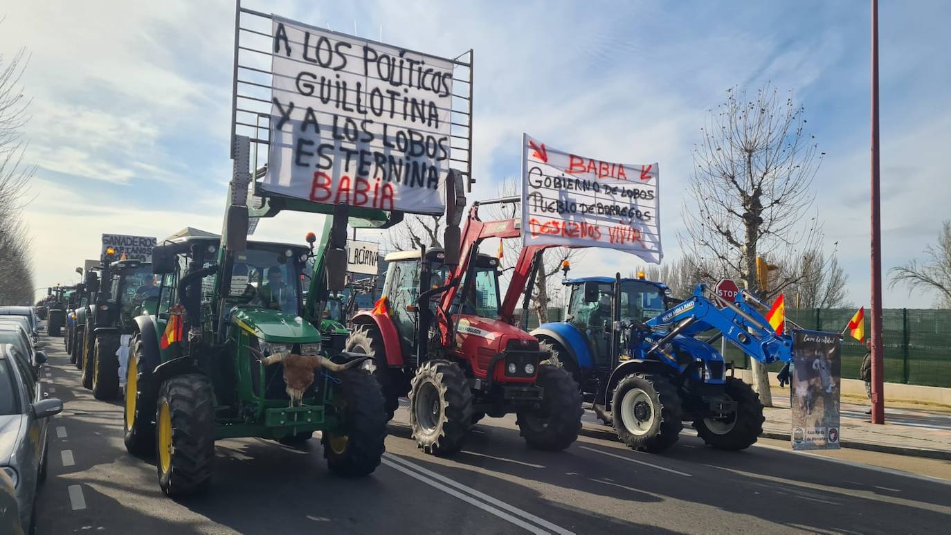 &#039;Tractorada&#039; del sector agrario en León