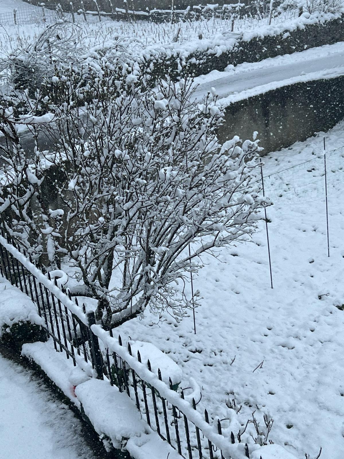 Nieve en Caboalles de Abajo