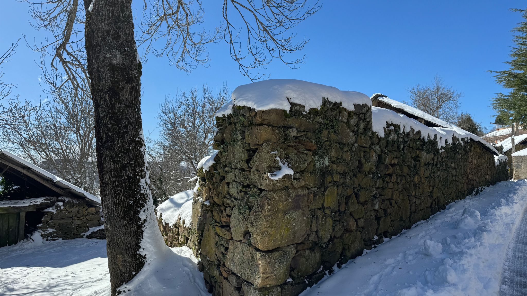 Llega la nieve a la localidad de Andarraso.