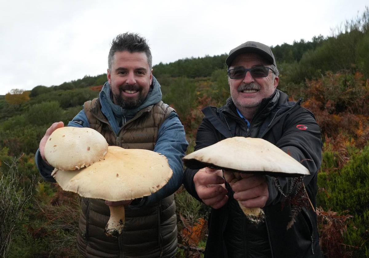 Imagen del programa 'La cocina mágica de las setas' de Canal Cocina.