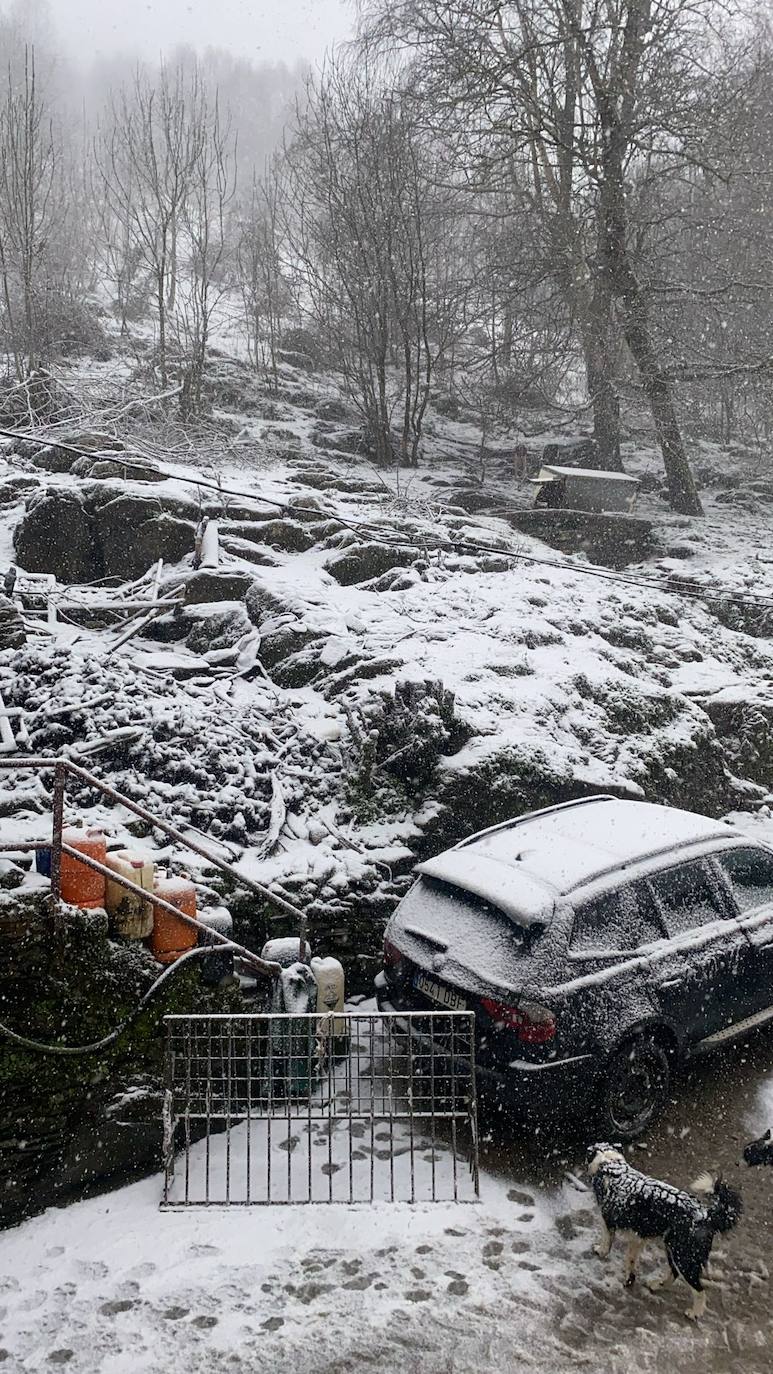 Las imágenes de la nieve en León