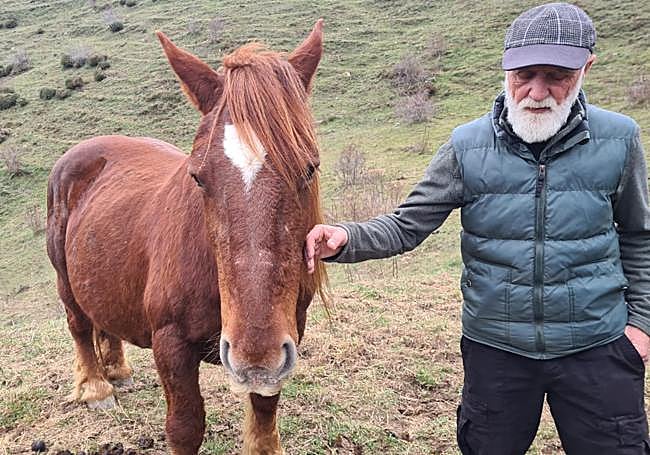 El pedáneo de Villargusán camina junto a una de las yeguas de Ángel Luis.