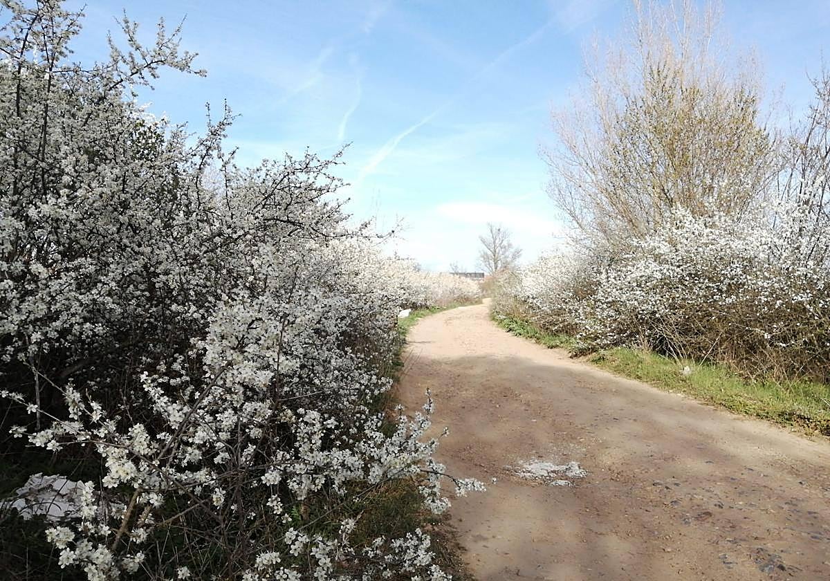 El tiempo en León: un domingo de marzo con más de 20 grados
