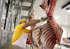 León lidera la producción cárnica de la comunidad con más de 28 millones de animales sacrificados