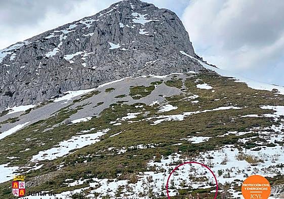 Rescate de la muejr herida.