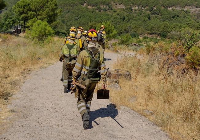 El cuerpo de Bomberos Forestales acude a extinguir el fuego.