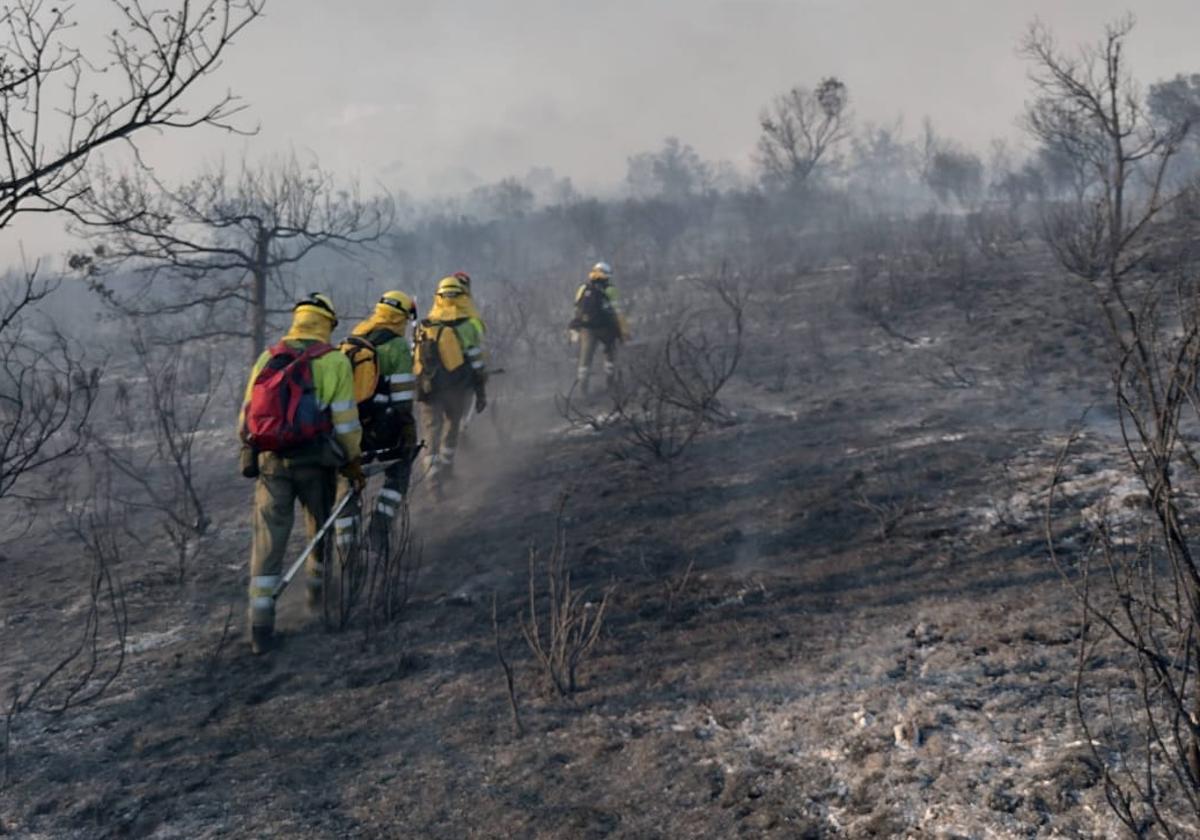 Imagen de labores de extinción del fuego.