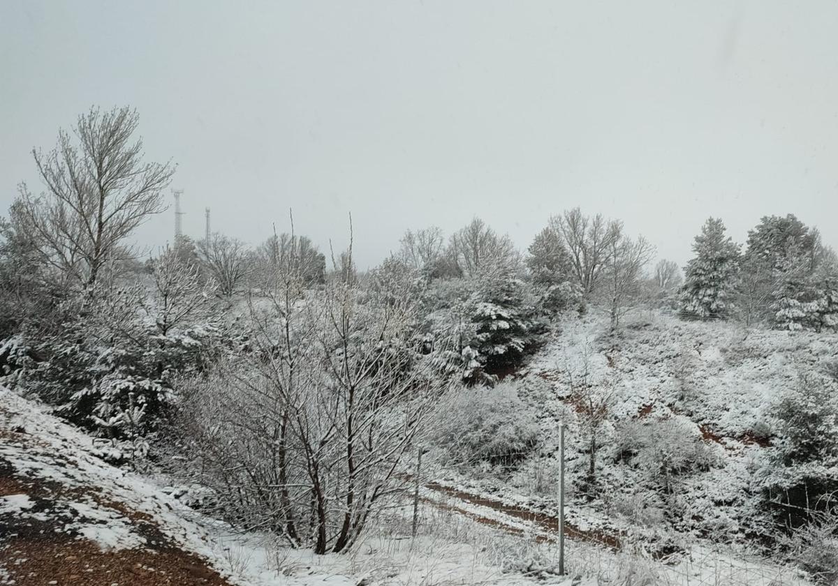 Imagen de Rioseco de Tapia con nieve.