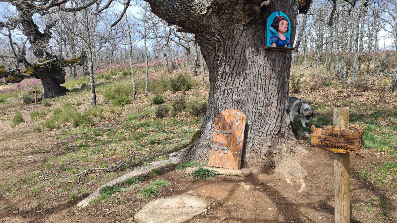 El jardín con enanitos de Almanza