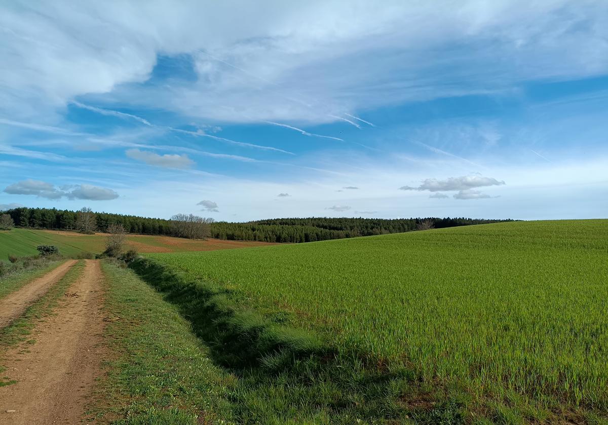 Campo en la Sobarriba leonesa.