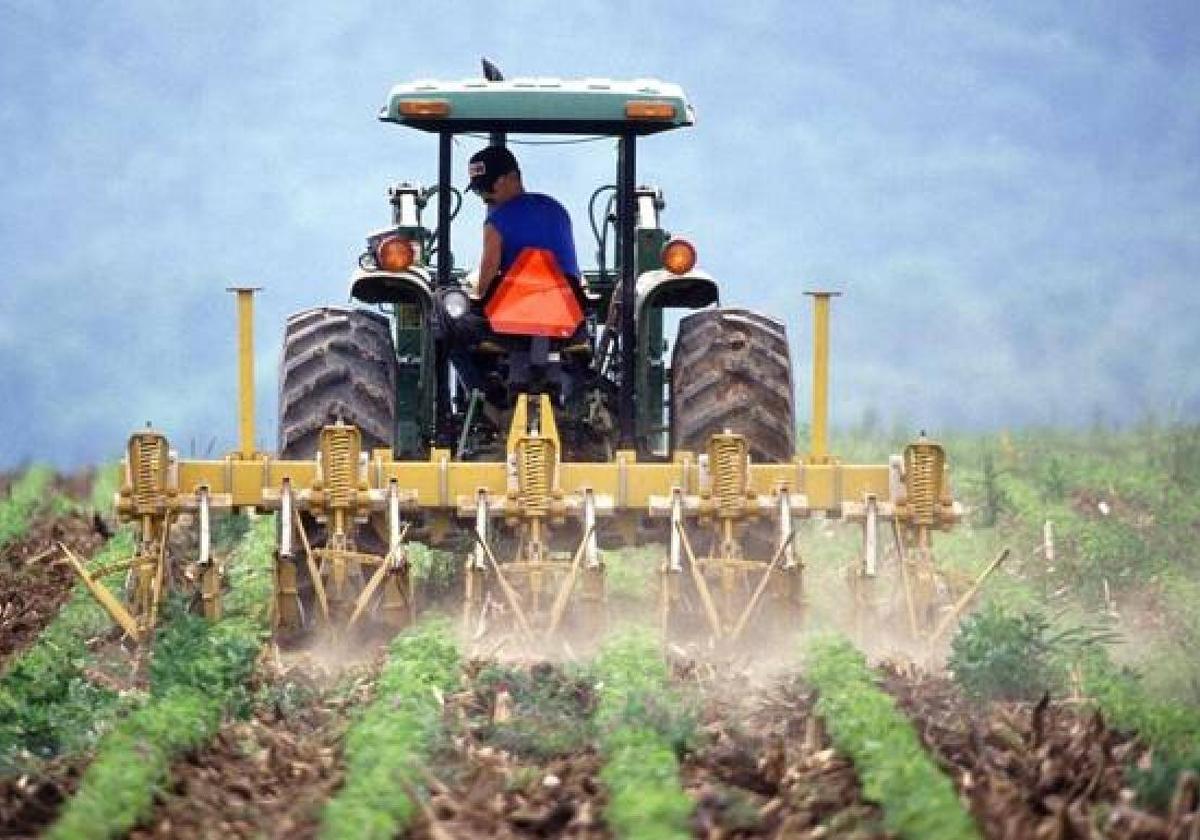 Asaja pide elevar por encima de 250.000 euros la facturación máxima en los módulos fiscales agrícolas y ganaderos