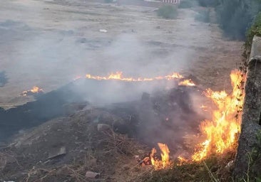 Declarado un incendio forestal en La Cabrera