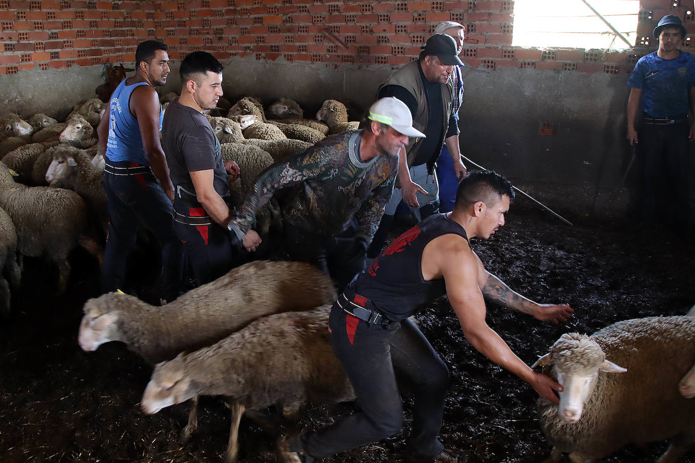 Talento importado para una actividad ancestral