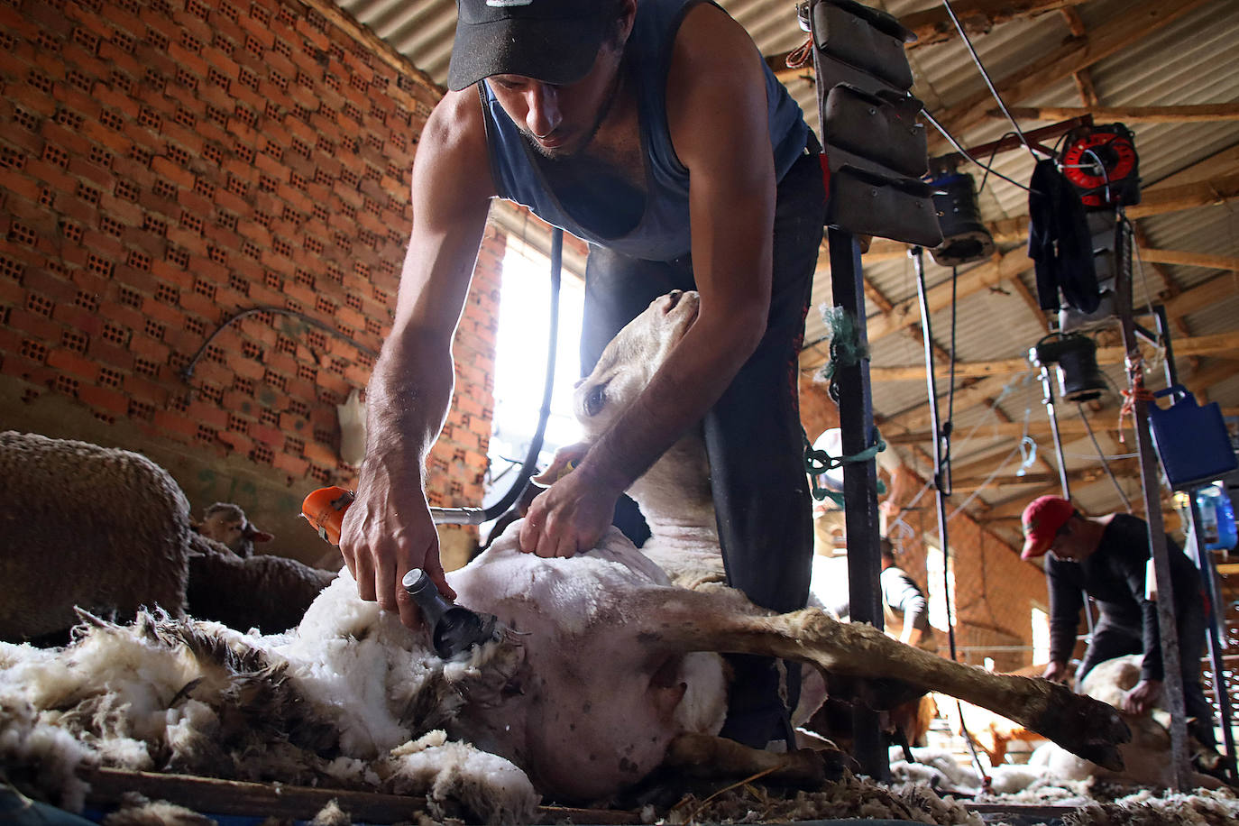 Talento importado para una actividad ancestral