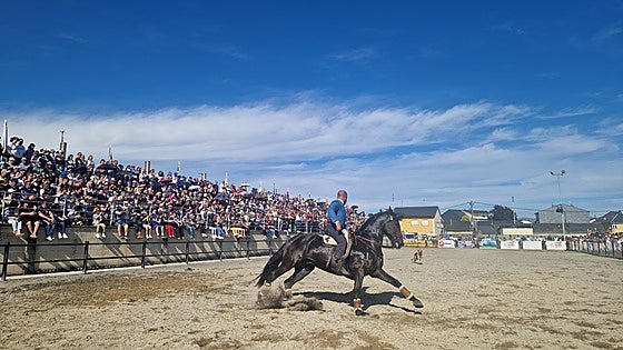 La Feria del Caballo en Camponaraya vuelve a ser todo un éxito