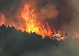 Imagen de archivo de un incendio forestal.