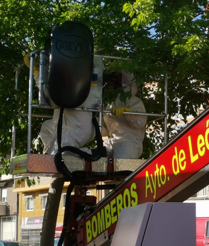 Imagen secundaria 2 - Retiran un enjambre en la entrada de la Feria de la Cerveza de Trobajo