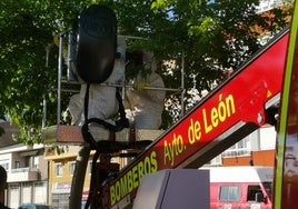 Bomberos de León retirando el enjambre.