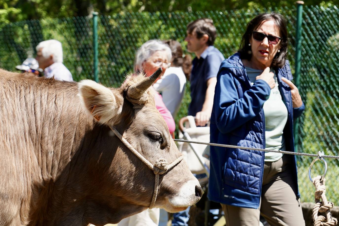 Crémenes recupera su feria décadas después