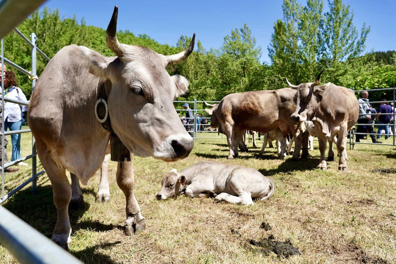 Crémenes recupera su feria décadas después