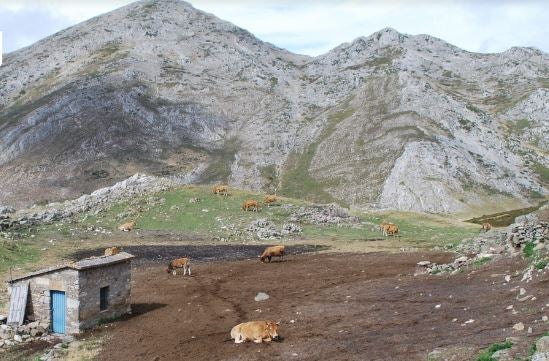 Majada de Covalanchu, en Fuentes del Sil.