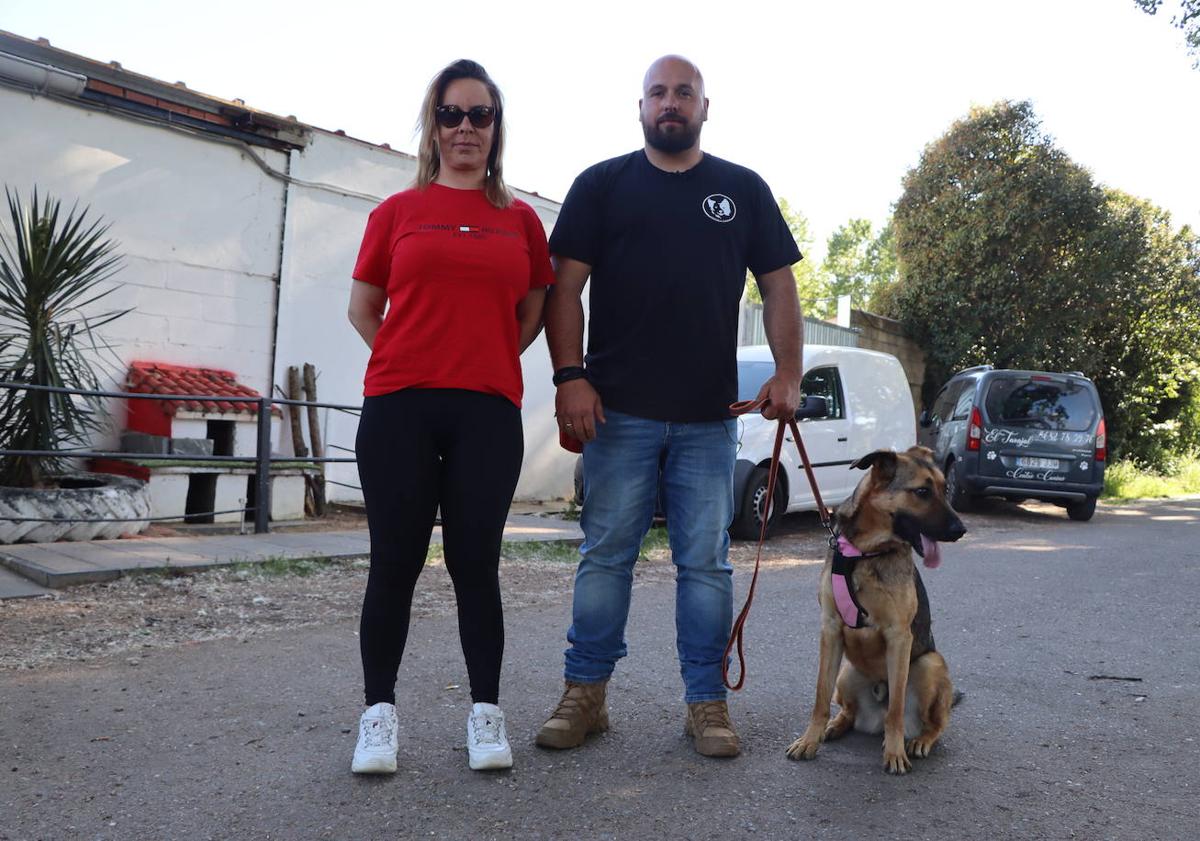 Imagen principal - Distntas fases de adiestramiento de Pedro Teixeira -Canis Club León- y Sara Rueda -Centro Canino El Carajal.