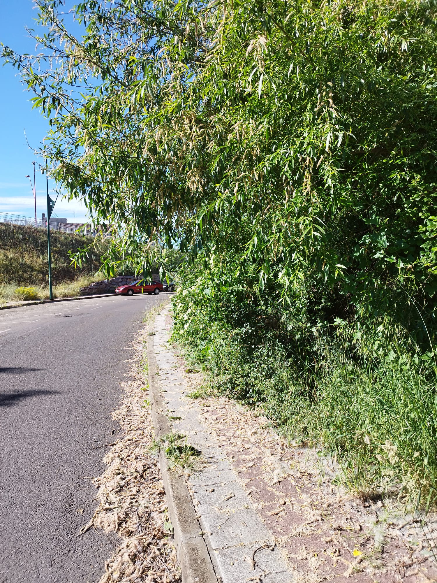 Estado de las calles de San Andrés del Rabanedo